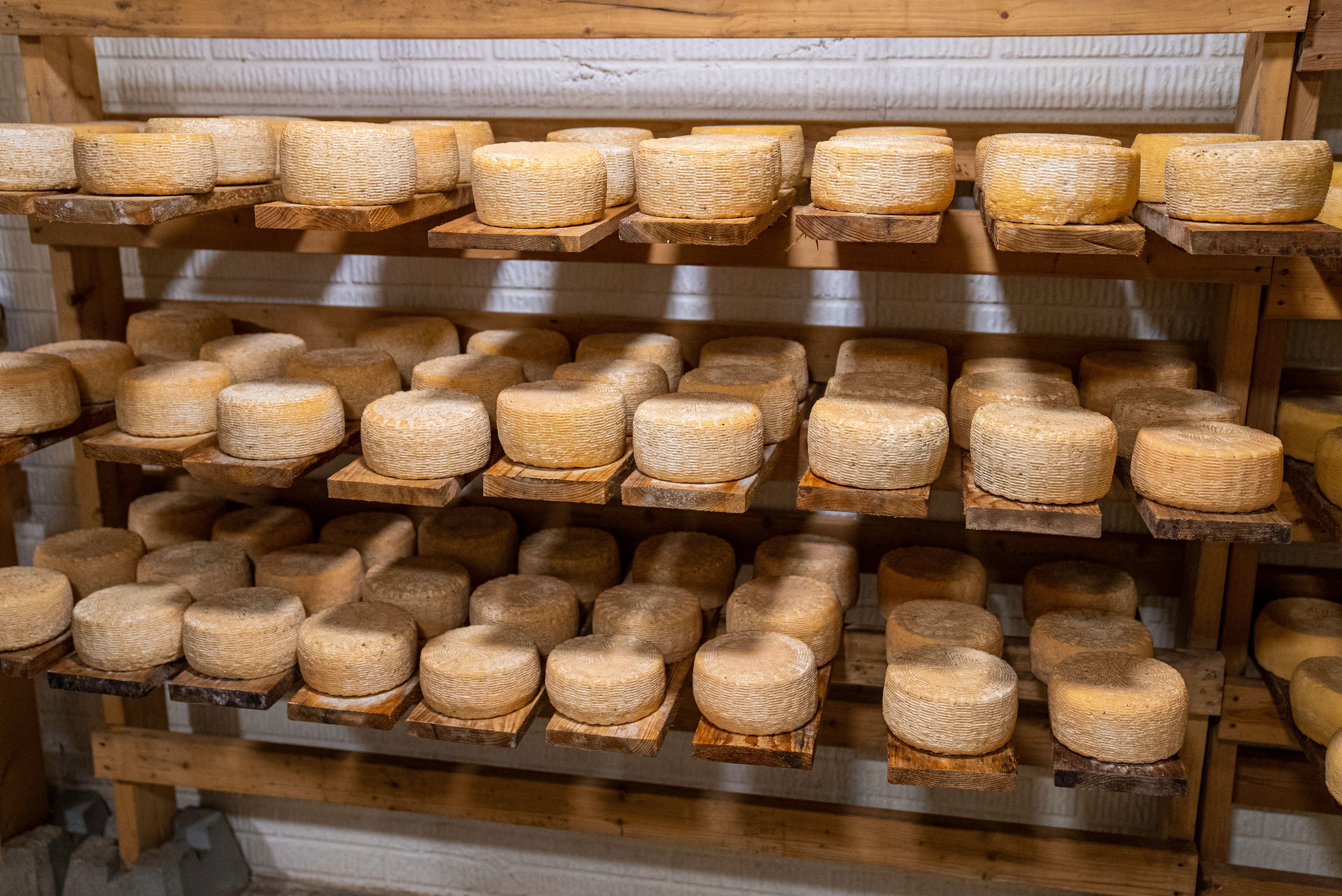 Asiago DOP Stravecchio — 3
