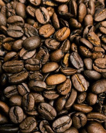 Macinato per Macchina Espresso 1kg — 4