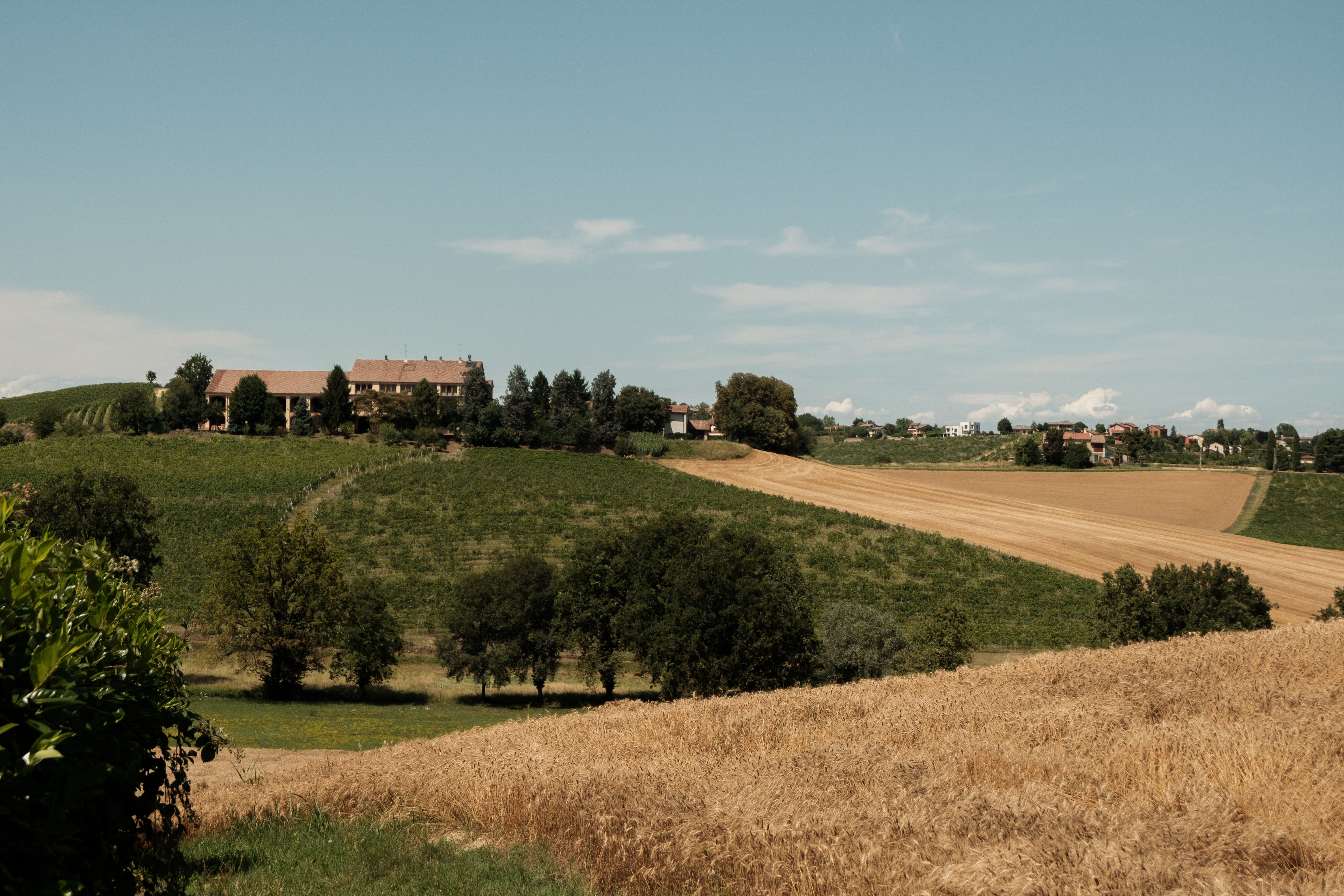 Semola Rimacinata di Grano Duro — 2