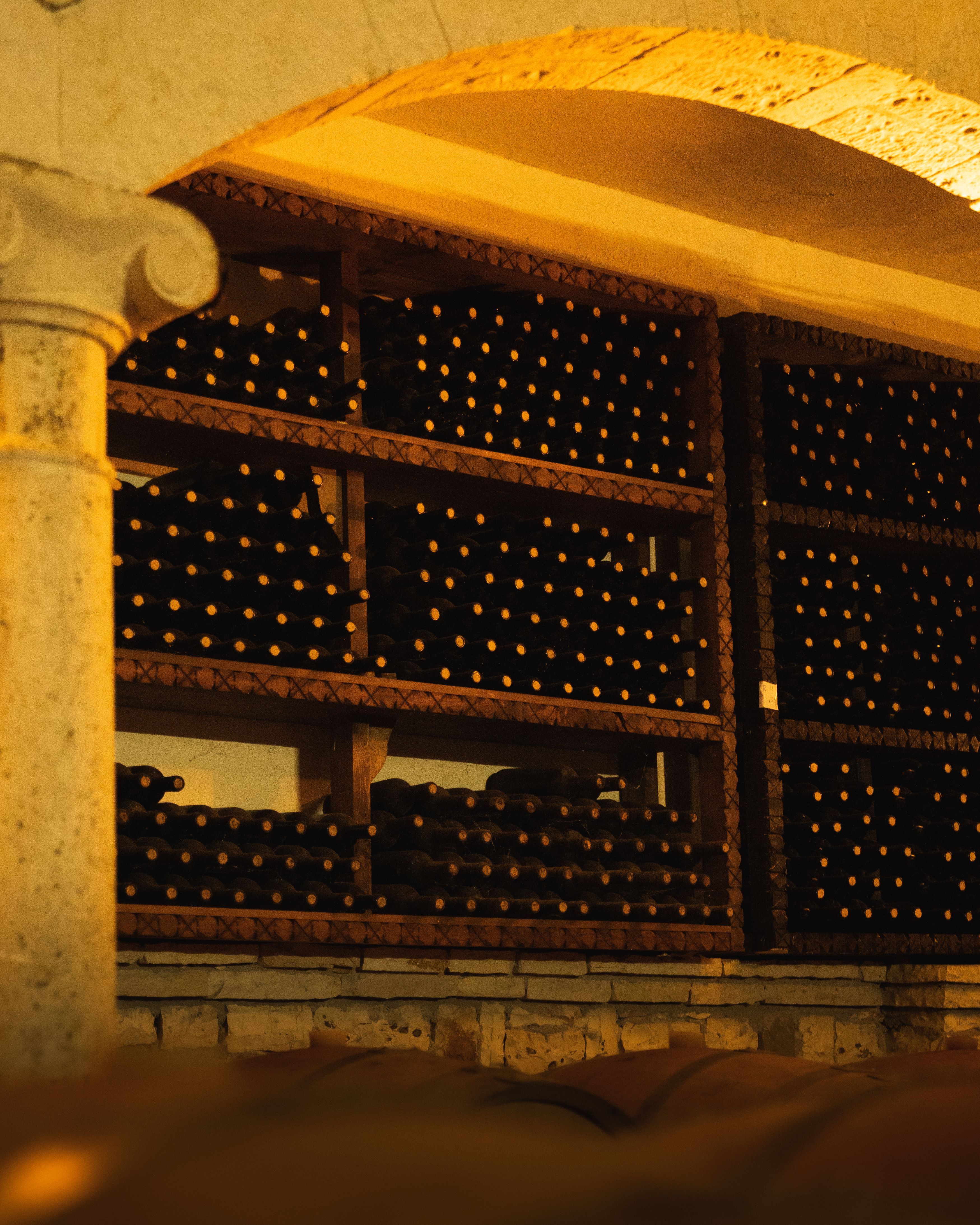 Bolgheri DOC Rosso Superiore 2019 — 4