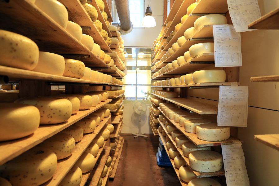 Canestrato Pugliese DOP — 2